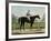 The Great Racer Kingston-Currier & Ives-Framed Giclee Print