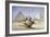 The Great Sphinx and Pyramids at Giza, 1838-1839-David Roberts-Framed Giclee Print