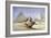 The Great Sphinx and Pyramids at Giza, 1838-1839-David Roberts-Framed Giclee Print