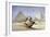 The Great Sphinx and Pyramids at Giza, 1838-1839-David Roberts-Framed Giclee Print