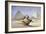 The Great Sphinx and Pyramids at Giza, 1838-1839-David Roberts-Framed Giclee Print