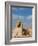 The Great Sphinx and Pyramids of Giza on a Sunny Day-Alex Saberi-Framed Photographic Print