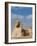 The Great Sphinx and Pyramids of Giza on a Sunny Day-Alex Saberi-Framed Photographic Print