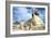 The Great Sphinx of Giza, Egypt, 20th Century-null-Framed Photographic Print