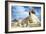 The Great Sphinx of Giza, Egypt, 20th Century-null-Framed Photographic Print