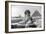 The Great Sphinx of Giza, Egypt, May 1949-null-Framed Giclee Print