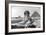The Great Sphinx of Giza, Egypt, May 1949-null-Framed Giclee Print
