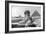 The Great Sphinx of Giza, Egypt, May 1949-null-Framed Giclee Print