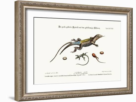 The Great Spotted Lizard with a Forked Tail, 1749-73-George Edwards-Framed Giclee Print