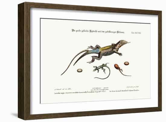 The Great Spotted Lizard with a Forked Tail, 1749-73-George Edwards-Framed Giclee Print