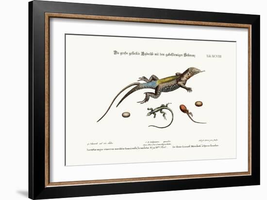 The Great Spotted Lizard with a Forked Tail, 1749-73-George Edwards-Framed Giclee Print