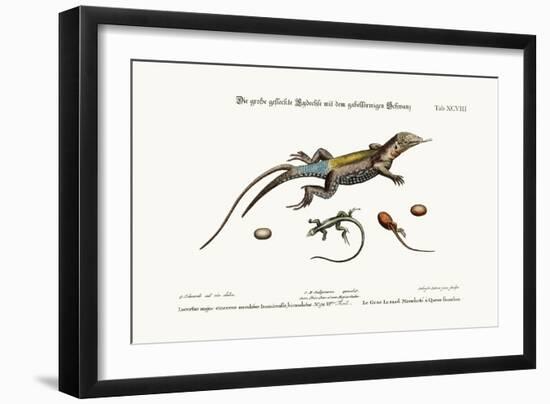 The Great Spotted Lizard with a Forked Tail, 1749-73-George Edwards-Framed Giclee Print