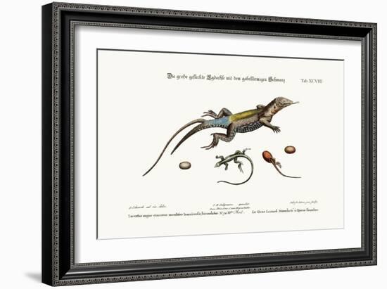 The Great Spotted Lizard with a Forked Tail, 1749-73-George Edwards-Framed Giclee Print