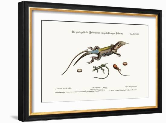 The Great Spotted Lizard with a Forked Tail, 1749-73-George Edwards-Framed Giclee Print