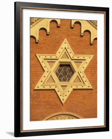 The Great Synagogue of Plzen, Czech Republic-Walter Bibikow-Framed Photographic Print