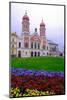 The Great Synagogue, Pilsen (Plzen), Western Bohemia, Czech Republic, Europe-Carlo Morucchio-Mounted Photographic Print