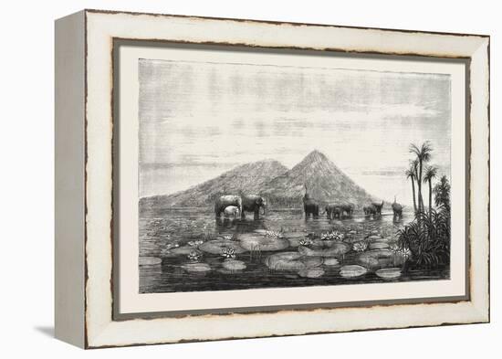 The Great Tank of Minery in the Island of Ceylon-null-Framed Premier Image Canvas