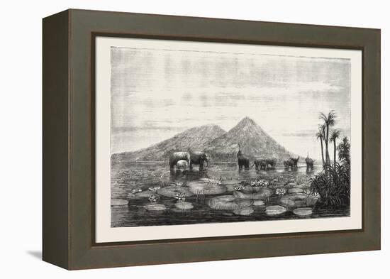 The Great Tank of Minery in the Island of Ceylon-null-Framed Premier Image Canvas