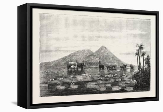 The Great Tank of Minery in the Island of Ceylon-null-Framed Premier Image Canvas