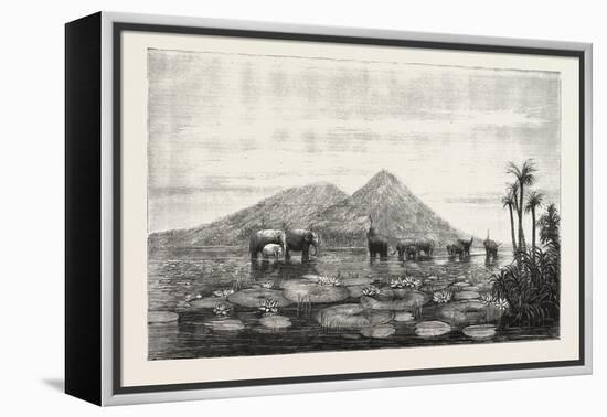 The Great Tank of Minery in the Island of Ceylon-null-Framed Premier Image Canvas