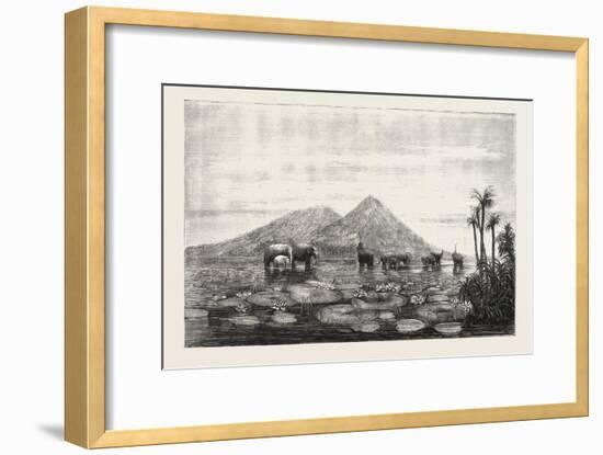 The Great Tank of Minery in the Island of Ceylon-null-Framed Giclee Print