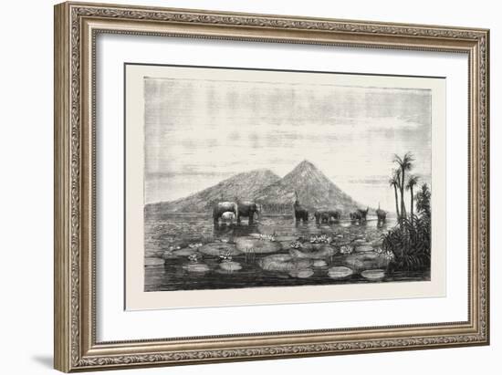 The Great Tank of Minery in the Island of Ceylon-null-Framed Giclee Print