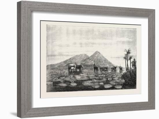 The Great Tank of Minery in the Island of Ceylon-null-Framed Giclee Print