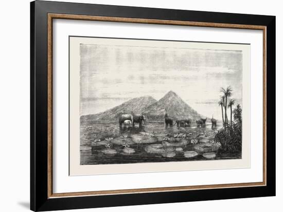 The Great Tank of Minery in the Island of Ceylon-null-Framed Giclee Print