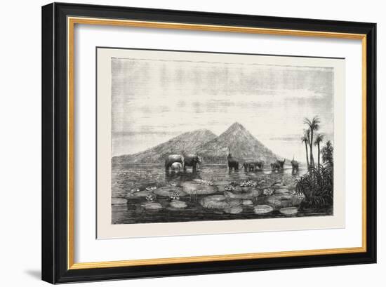 The Great Tank of Minery in the Island of Ceylon-null-Framed Giclee Print