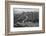 The Great Wall of China Jinshanling, China-Darrell Gulin-Framed Photographic Print