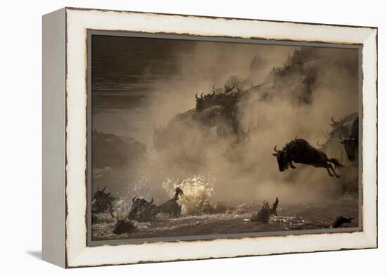 The Great Wildebeest Migration-Adrian Wray-Framed Premier Image Canvas