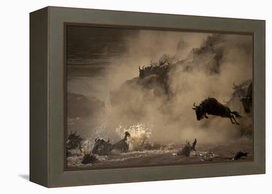 The Great Wildebeest Migration-Adrian Wray-Framed Premier Image Canvas
