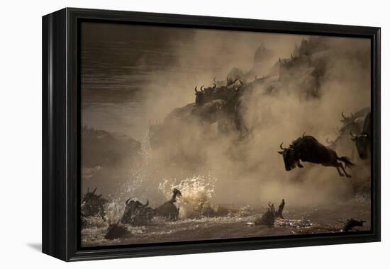 The Great Wildebeest Migration-Adrian Wray-Framed Premier Image Canvas