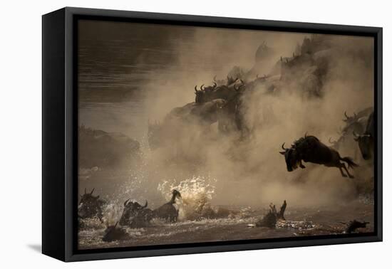 The Great Wildebeest Migration-Adrian Wray-Framed Premier Image Canvas