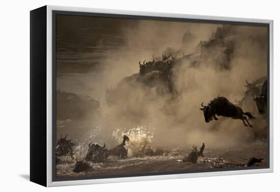 The Great Wildebeest Migration-Adrian Wray-Framed Premier Image Canvas