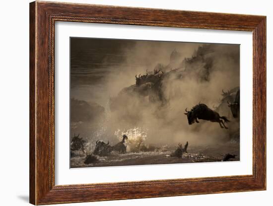 The Great Wildebeest Migration-Adrian Wray-Framed Photographic Print