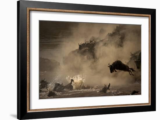 The Great Wildebeest Migration-Adrian Wray-Framed Photographic Print