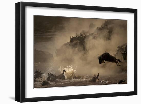 The Great Wildebeest Migration-Adrian Wray-Framed Photographic Print