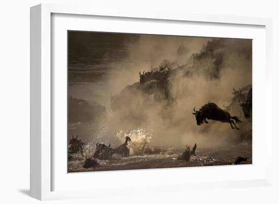 The Great Wildebeest Migration-Adrian Wray-Framed Photographic Print