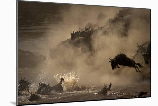 The Great Wildebeest Migration-Adrian Wray-Mounted Photographic Print