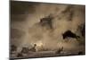 The Great Wildebeest Migration-Adrian Wray-Mounted Photographic Print