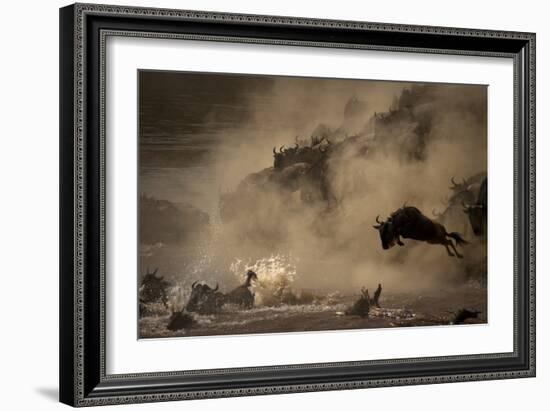 The Great Wildebeest Migration-Adrian Wray-Framed Photographic Print