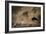 The Great Wildebeest Migration-Adrian Wray-Framed Photographic Print