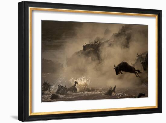 The Great Wildebeest Migration-Adrian Wray-Framed Photographic Print