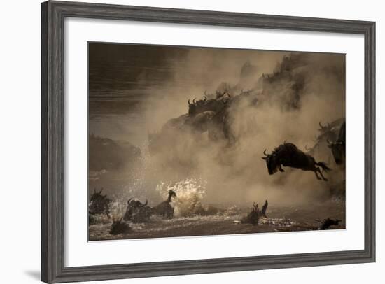 The Great Wildebeest Migration-Adrian Wray-Framed Photographic Print