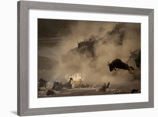 The Great Wildebeest Migration-Adrian Wray-Framed Photographic Print