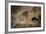 The Great Wildebeest Migration-Adrian Wray-Framed Photographic Print