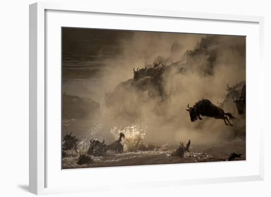 The Great Wildebeest Migration-Adrian Wray-Framed Photographic Print