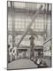 Premium Photographic Print