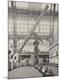 Photographic Print